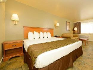 Best Western Padre Island Corpus Christi Rum bild